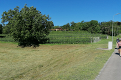 IMG_20220610_093136