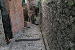 IMG_20220608_111826
